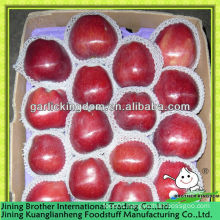 China Gansu huaniu apple